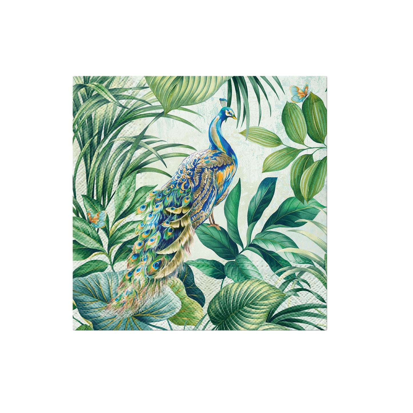 Tropical & Exotic Collection