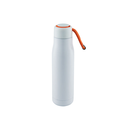 HydroSwig Insulated Water Bottle