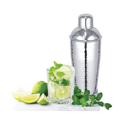 Hammered Cocktail Shaker