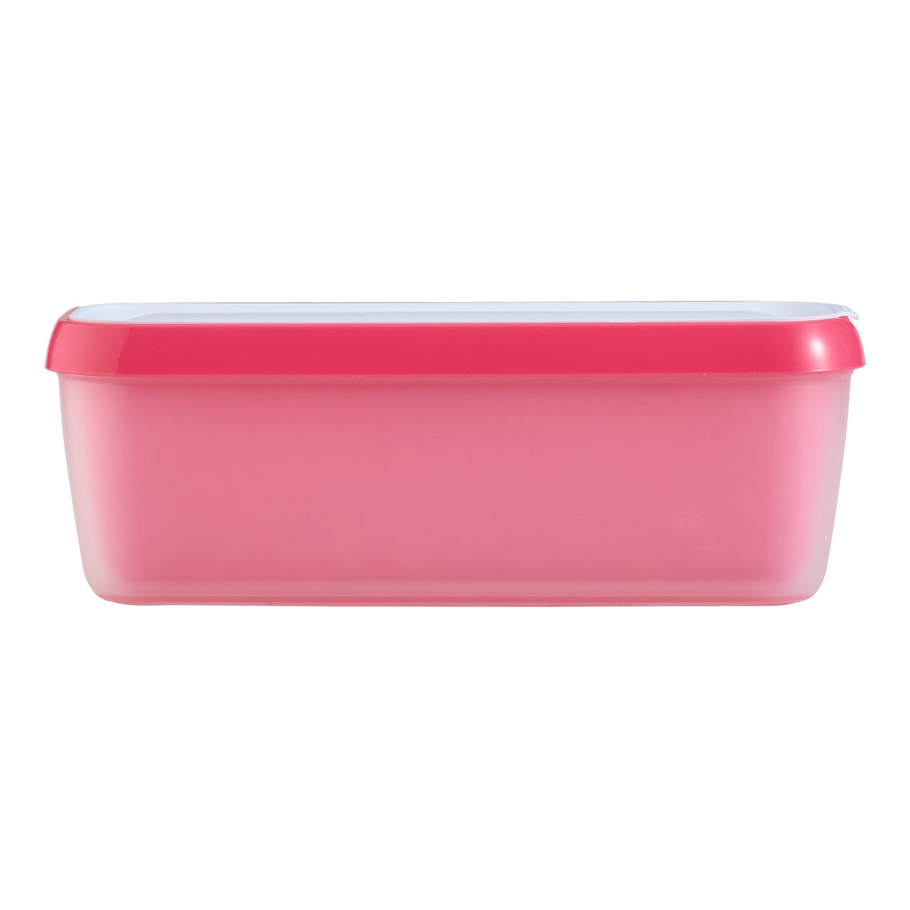 EasyScoop Ice Cream Container