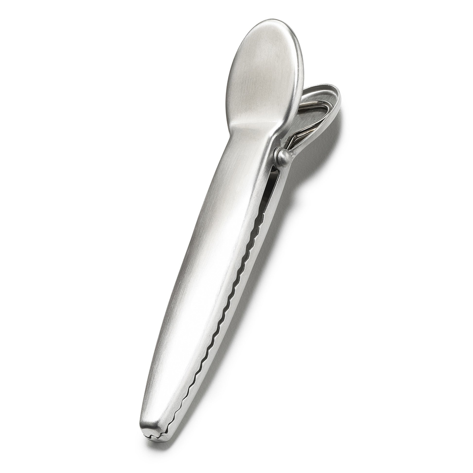 Silver stainless bag clip with ridged grip handle and loop for storage
