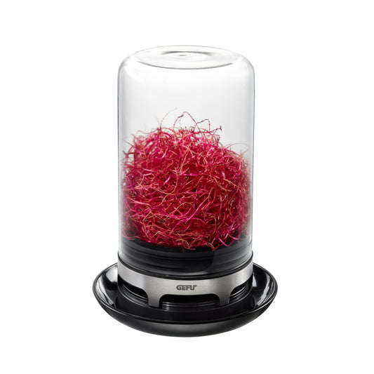 BIVITA sprouting jar with red sprouts in clear glass, black base