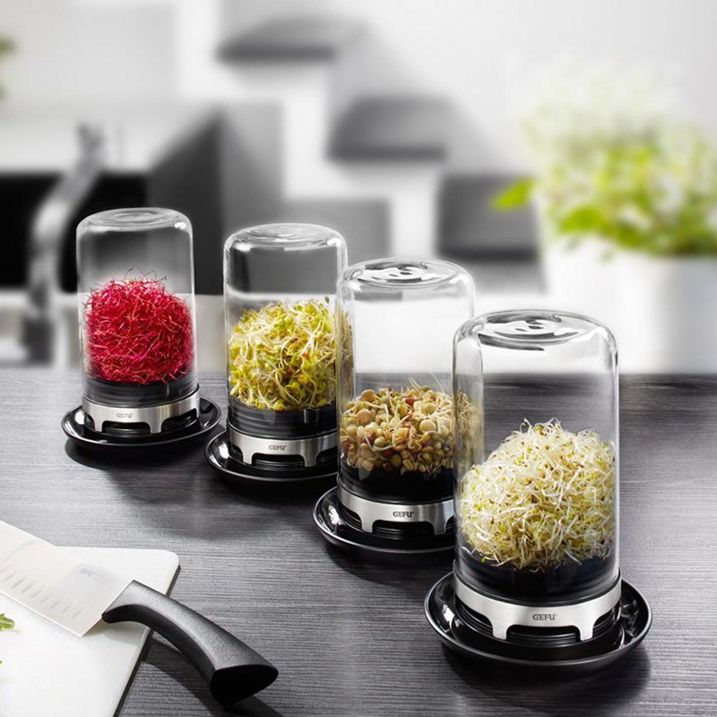 BIVITA sprouting jar set: clear jars with red, yellow, and white sprouts on black bases