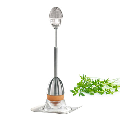 Egg cracker and salt shaker on metal base, clear egg cup top