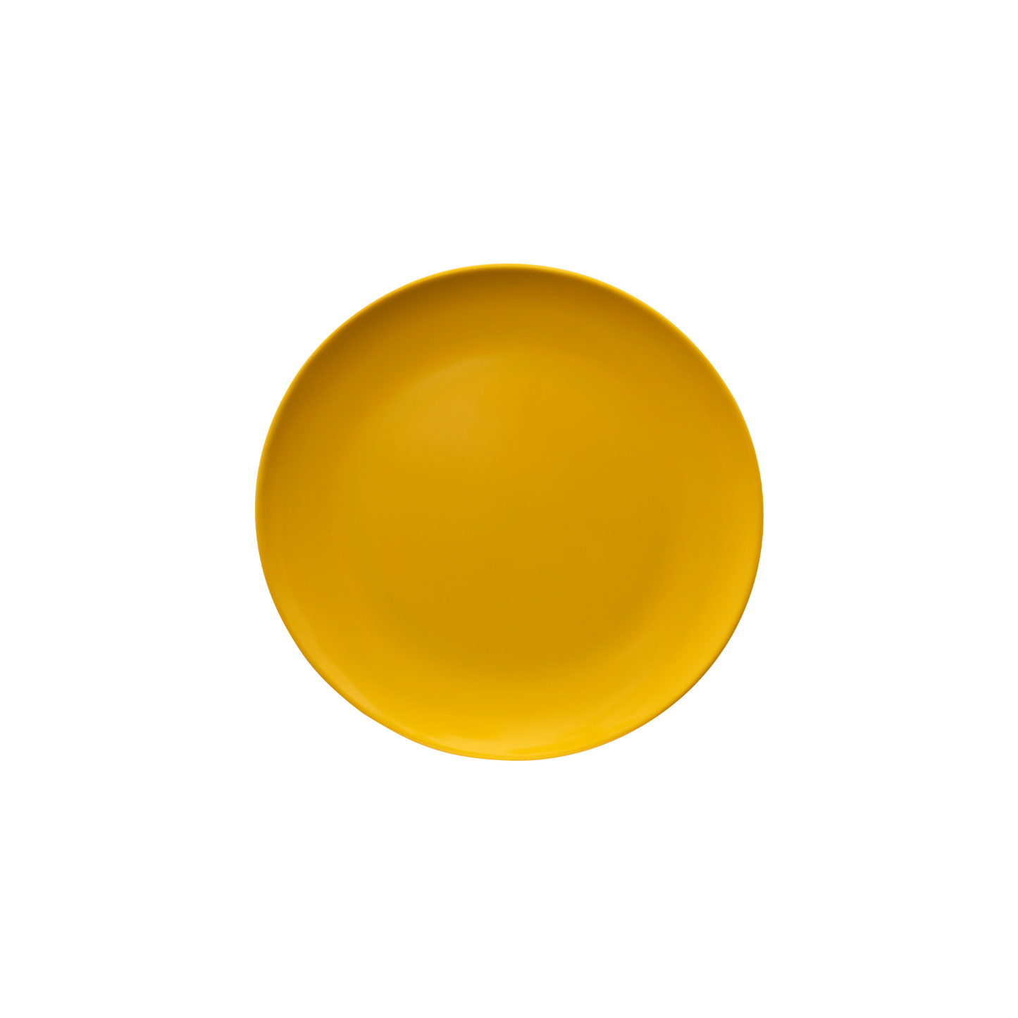 Single Colour Melamine Dinner Plate