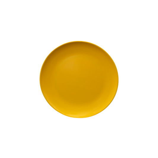 Single Colour Melamine Dinner Plate