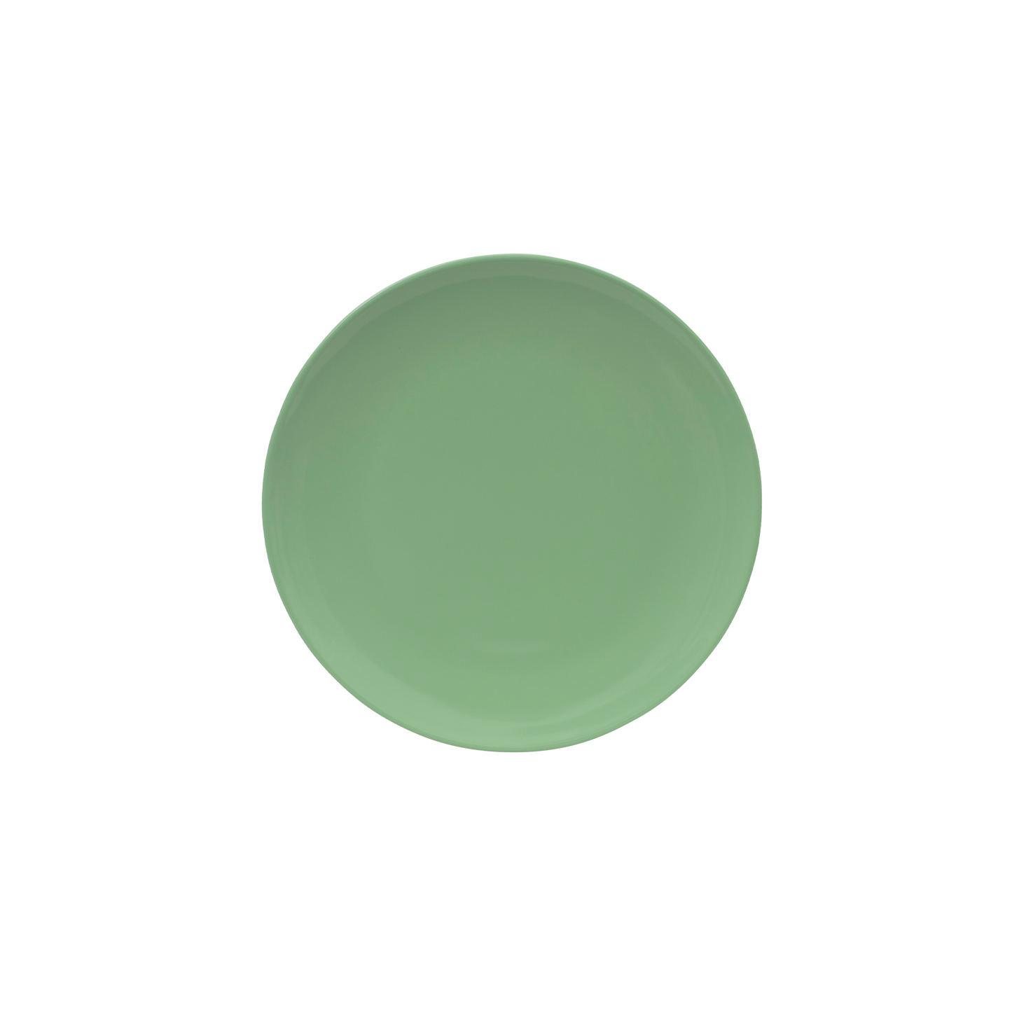 Single Colour Melamine Dinner Plate