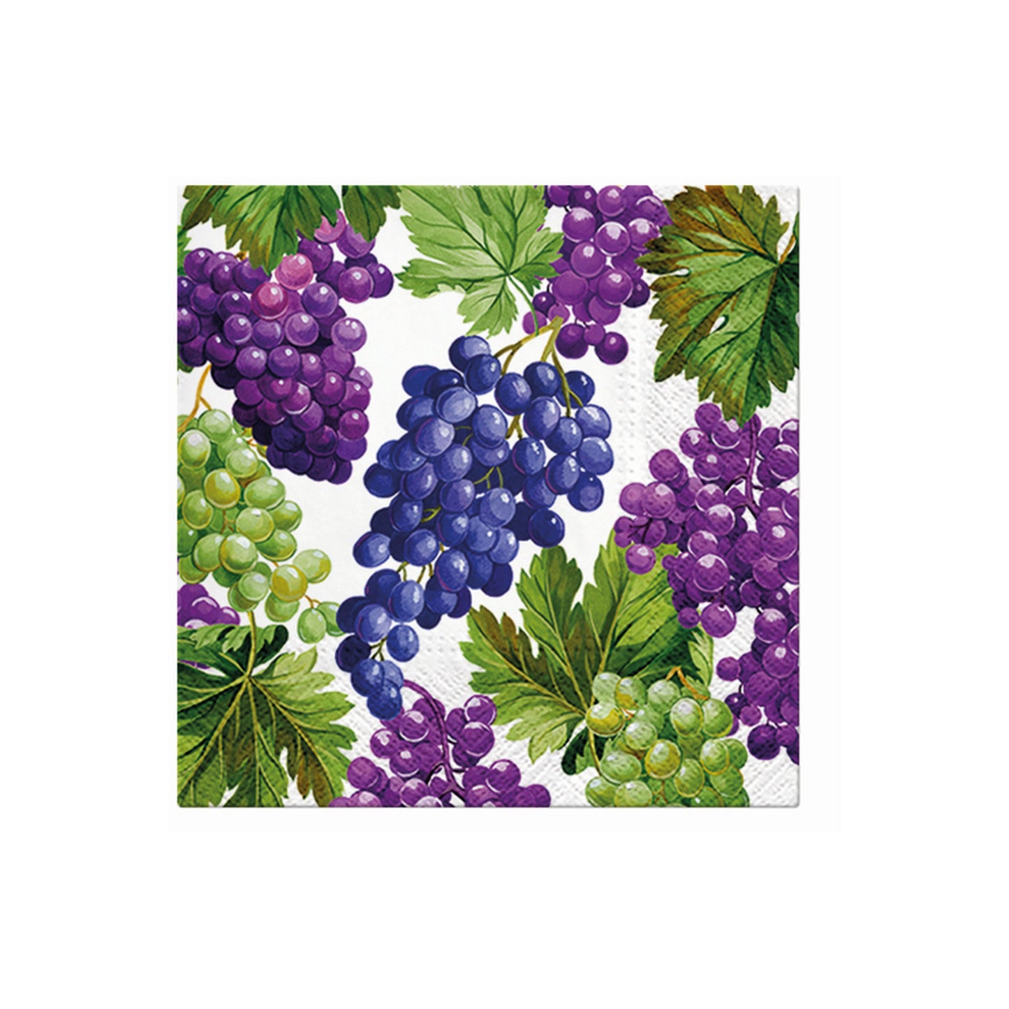 Fruit & Orchard Collection