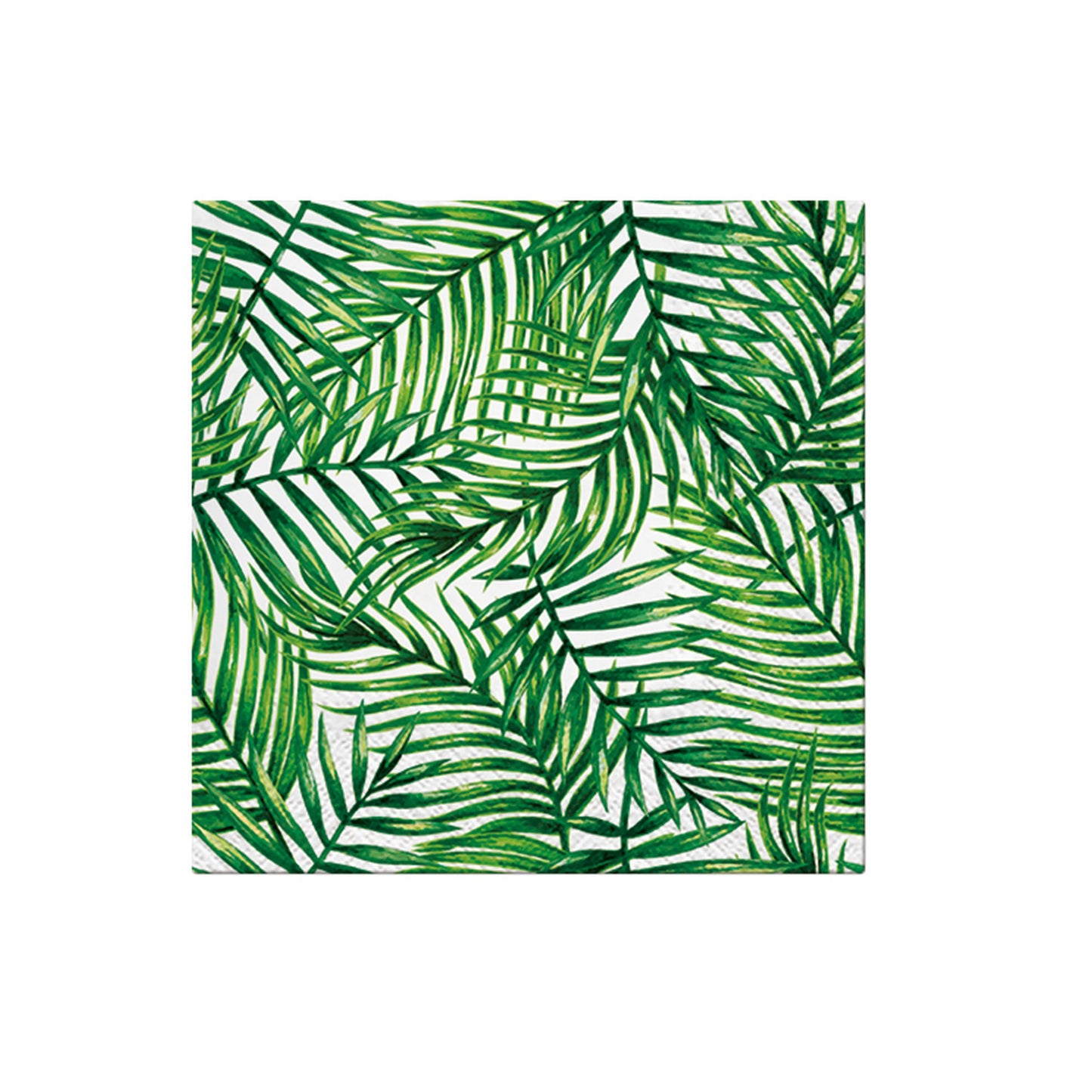 Tropical & Exotic Collection