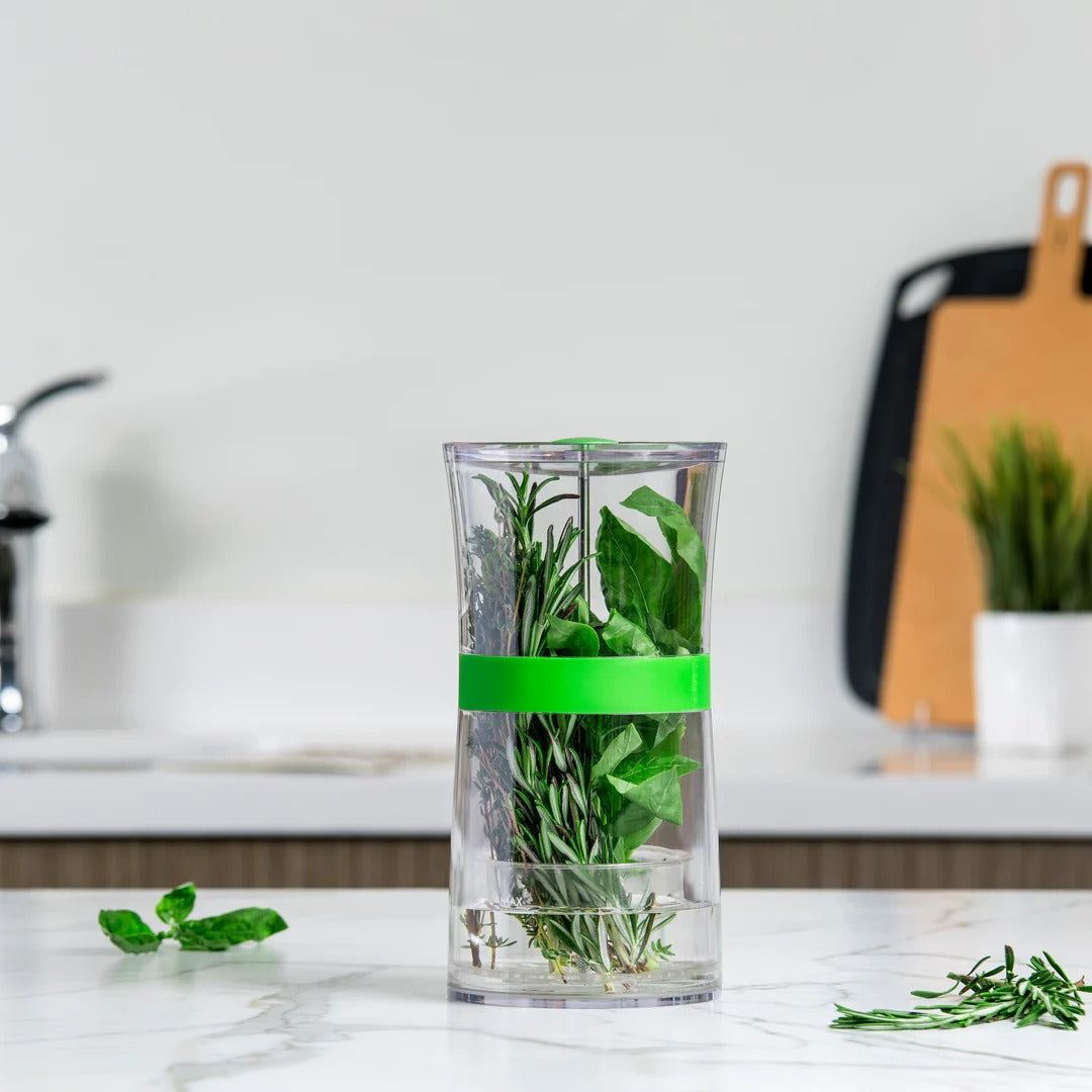 Glass herb jar with green band and clear lid, filled with fresh stems