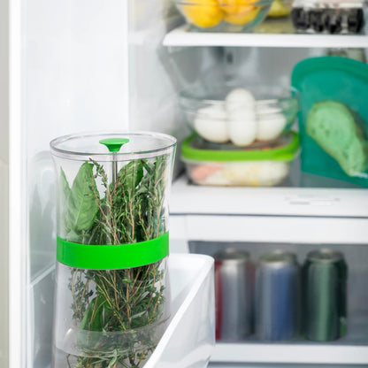 Clear glass herb jar with green band and lid, filled with leafy herbs