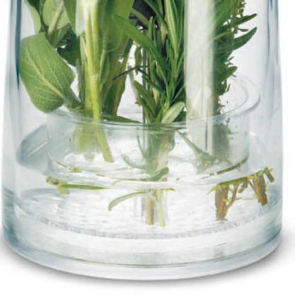 Close-up of clear herb jar base with green stems and leaves