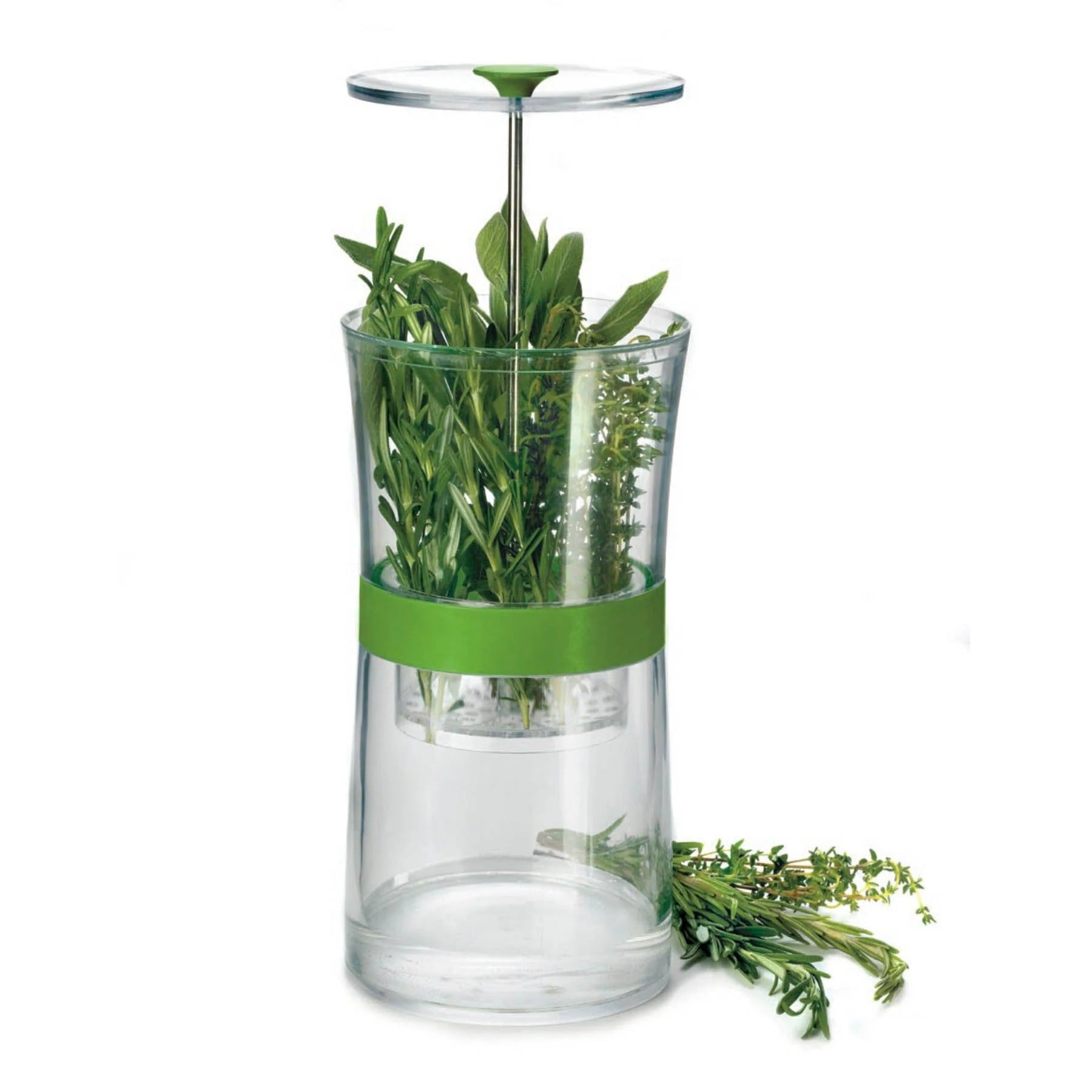 Glass herb jar with green band, clear top, and standing green stems