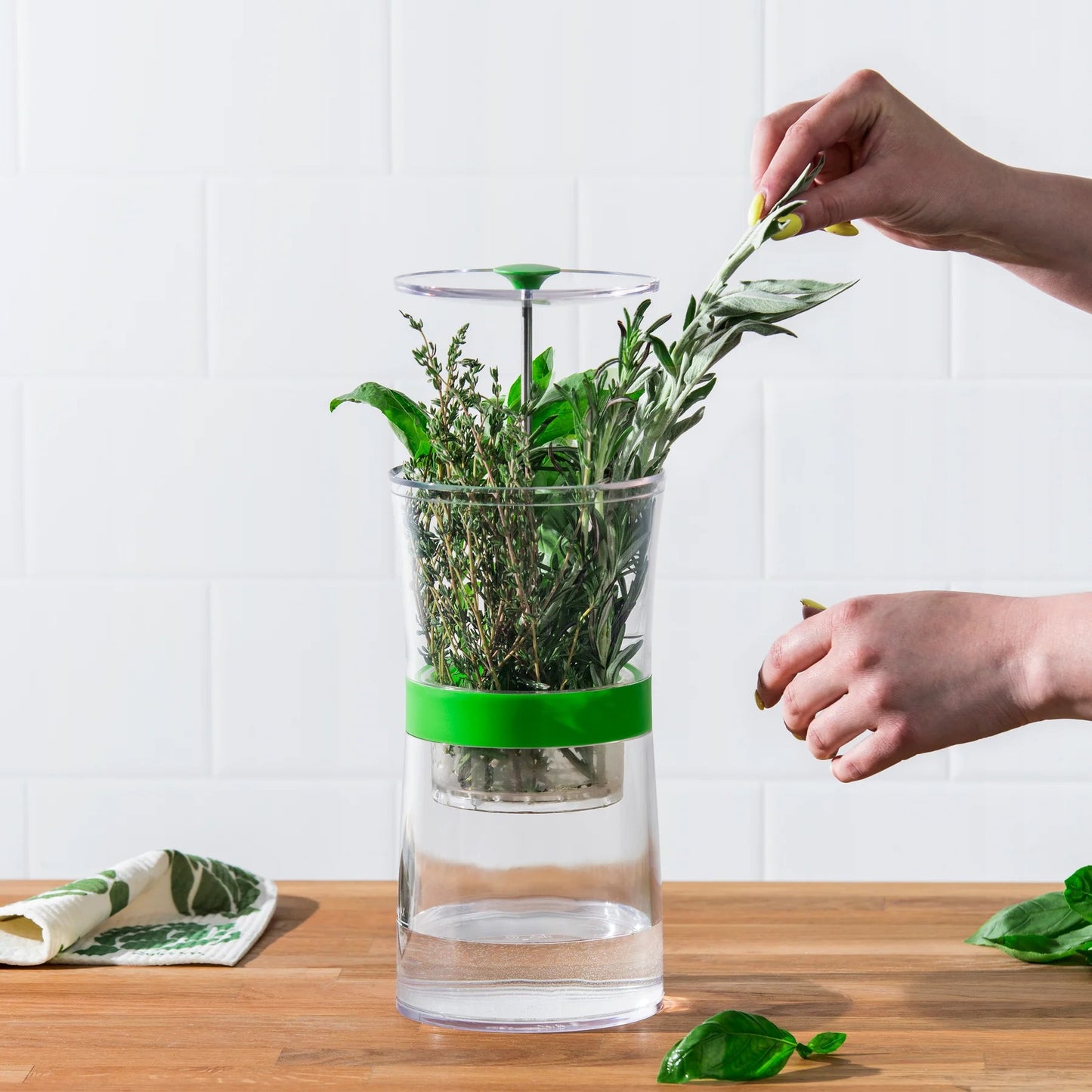 Glass herb jar with green band on table; hand places herbs into container
