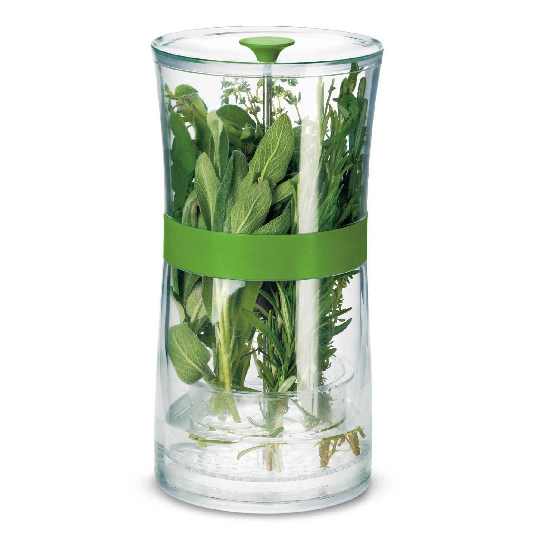 Clear glass herb jar with green band and leafy greens inside, standing upright